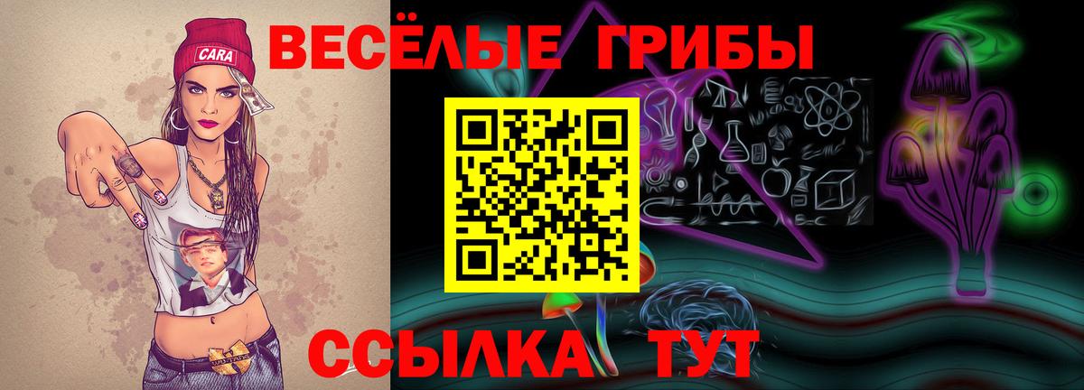 Псилоцибиновые грибы прущие грибы  как найти закладки  Аша  Вход с VPN 
