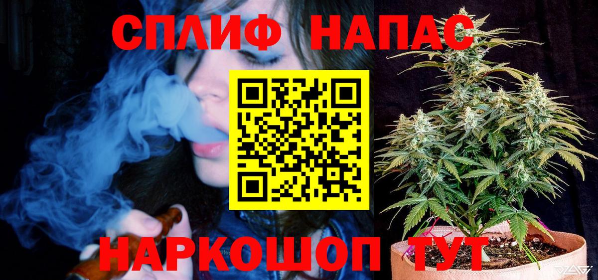 Конопля сатива  МАРИХУАНА сатива  Бошки марихуана план  Вход с VPN  Аша 